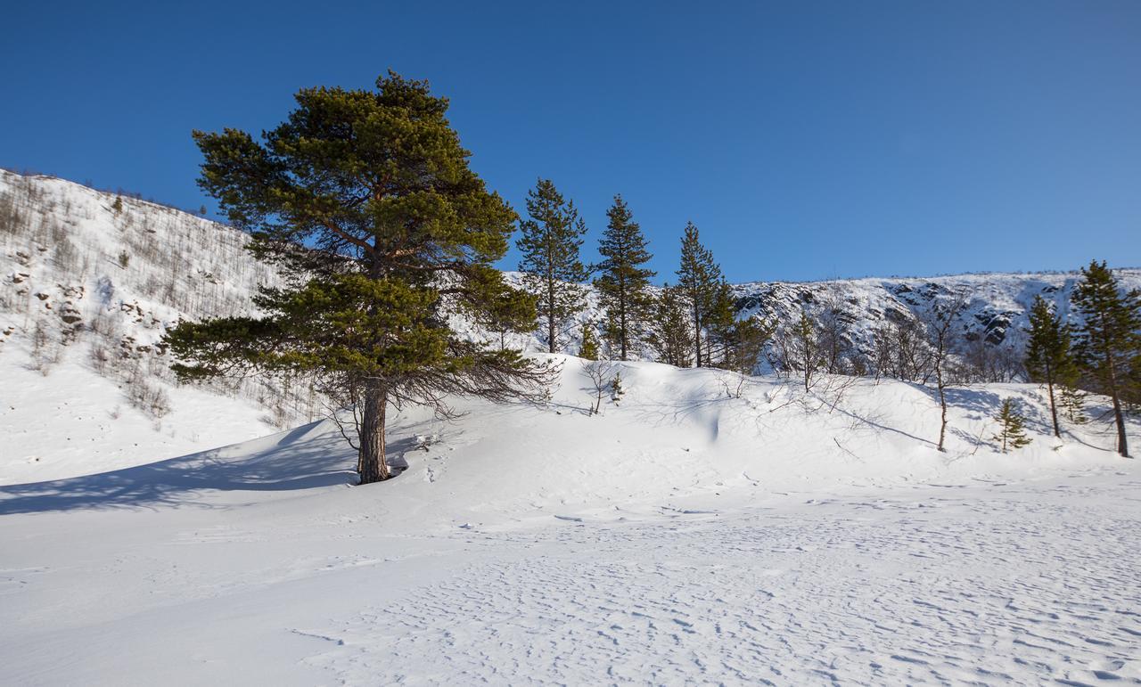 Alpehytte Osman Kelohovi *